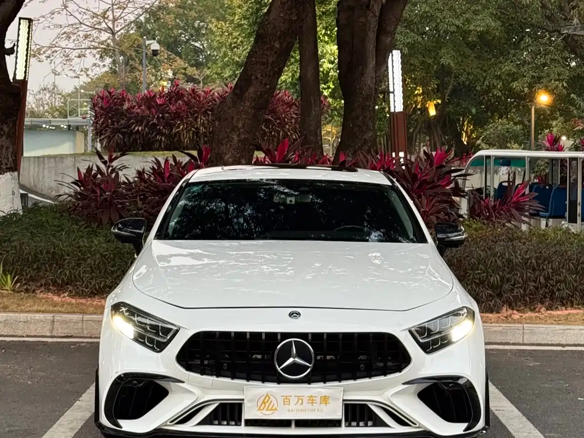 Mercedes-Benz CLS 2018 CLS 300 Dynamic фото 2