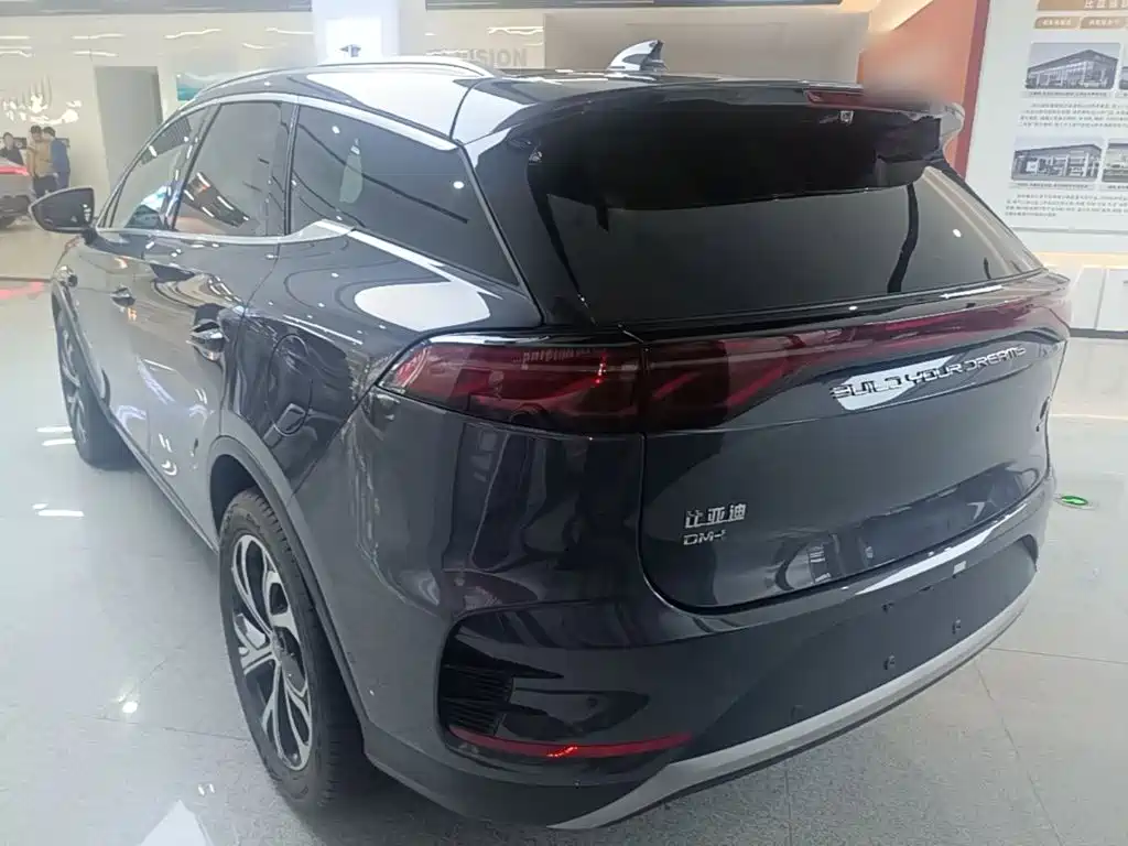 Фото 5 - BYD Tang New Energy