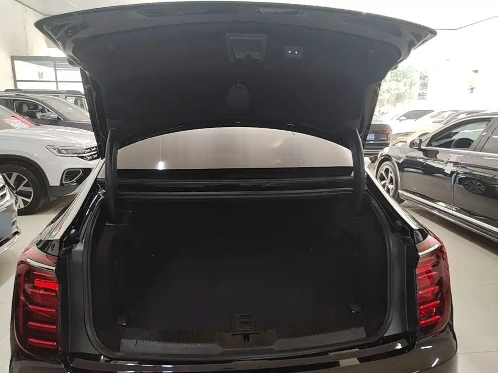 صورة 19 - Hongqi H9