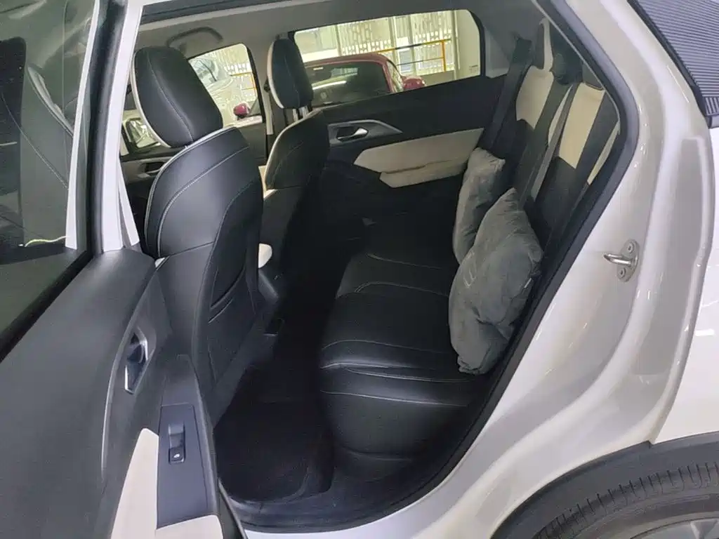 Geely Geometry E Firefly 2023 2024 Model 401km Fluorescent