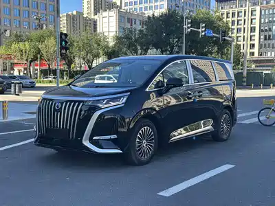 Denza D9