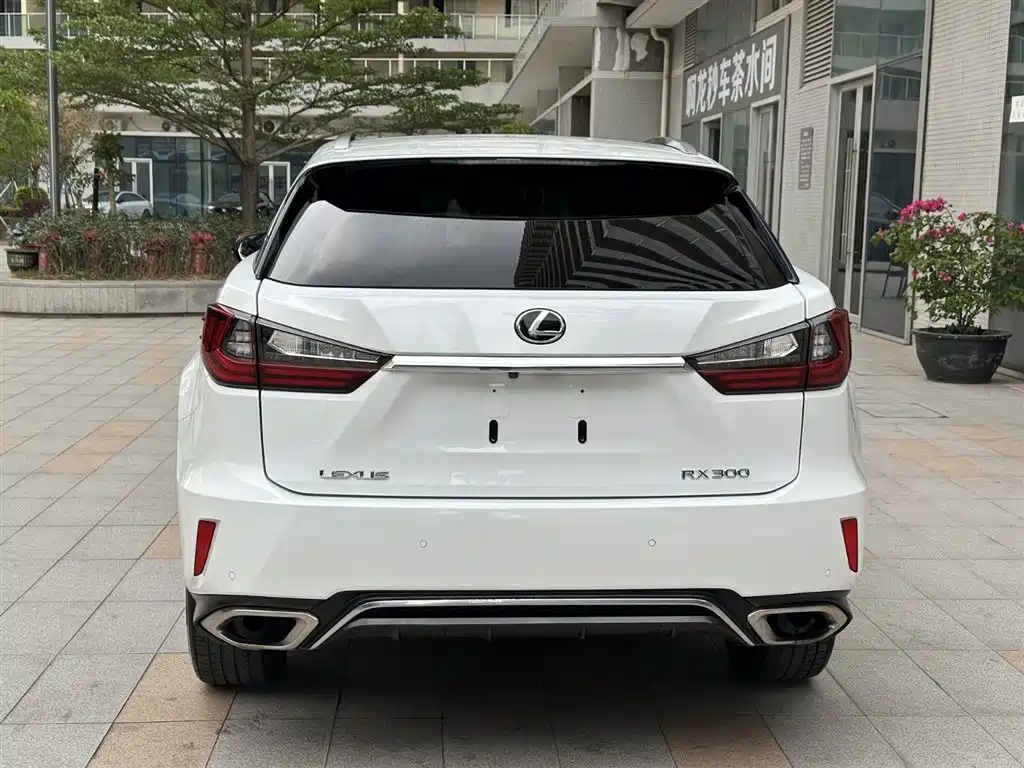 Lexus RX 2016 300 AWD F SPORT Edition China V фото 7