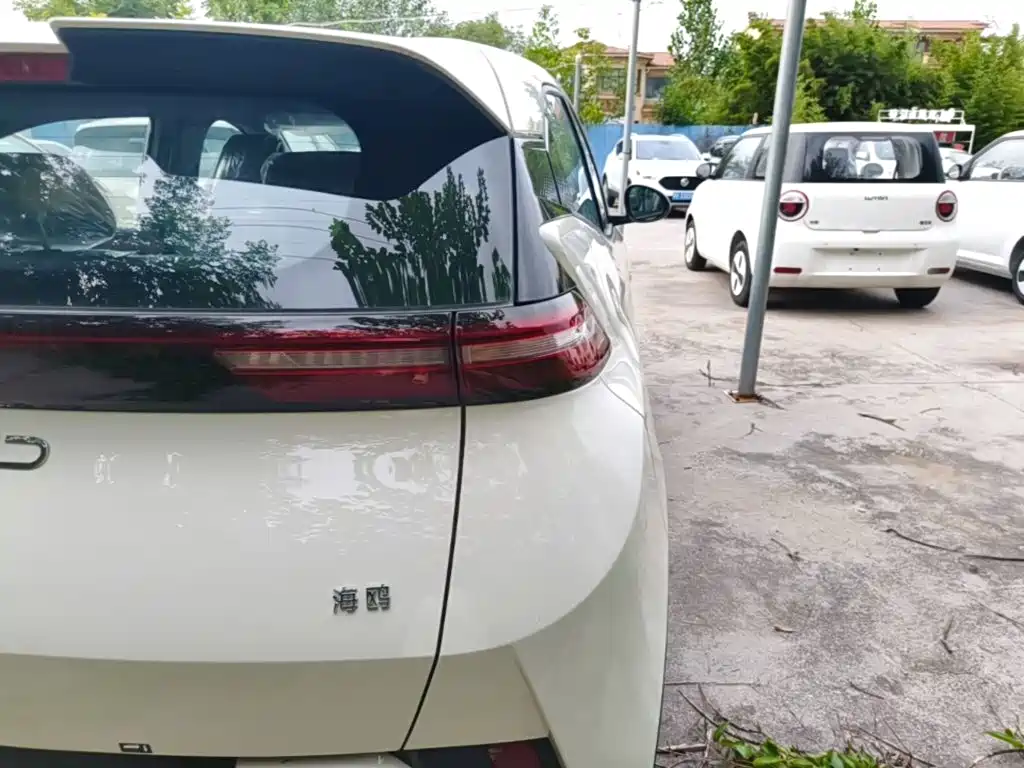 BYD Seagull 2026 2025 Smart Drive Edition 305km Vitality Version