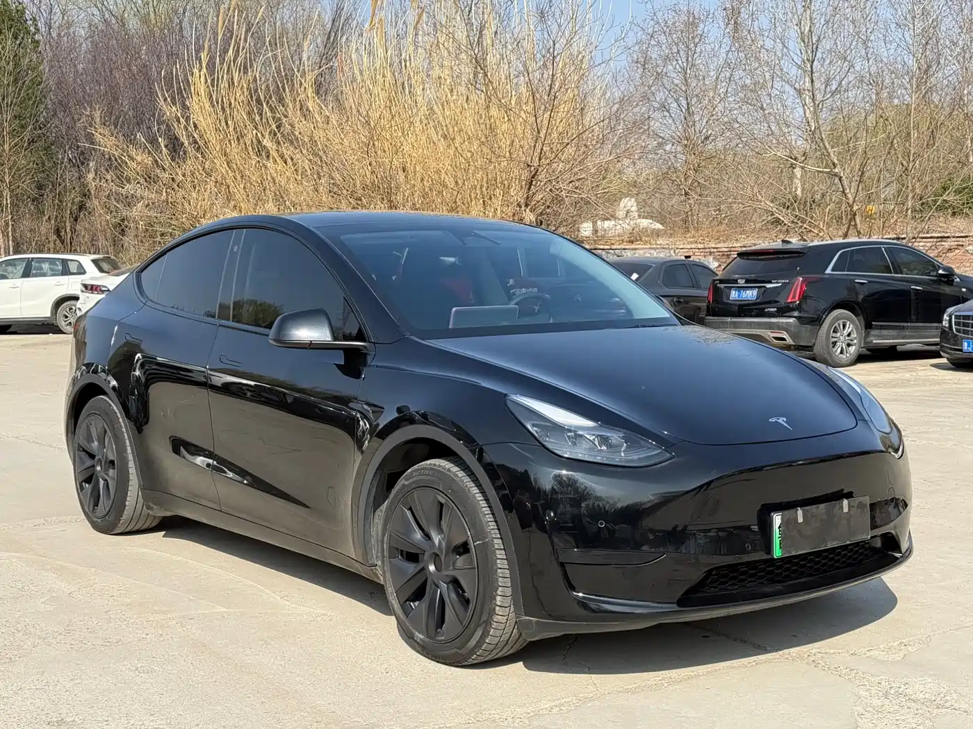 TESLA MODEL Y