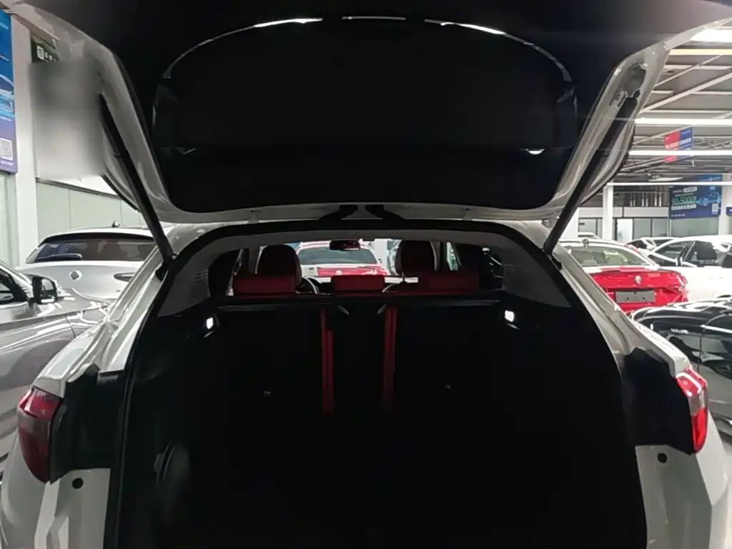 Alfa Romeo Stelvio 2021 2020 2.0T 280HP Luxury Edition