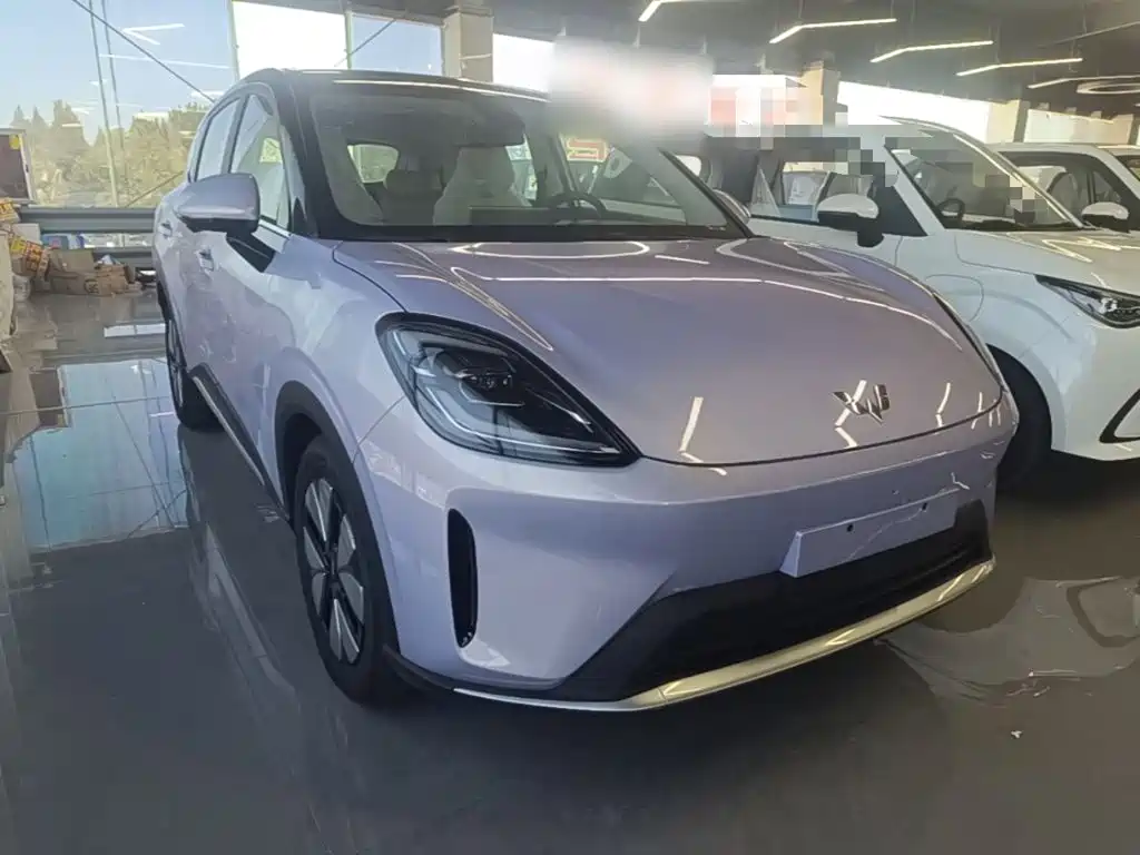 Wuling Motors Wuling Bingo S 2026 2025 Model 430km Premium Edition