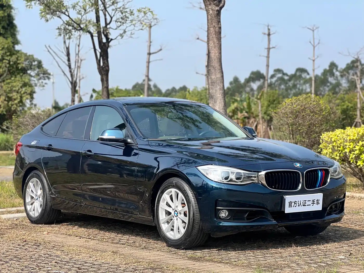 BMW 3 Series GT 2013 Model 320i Leading фото 3