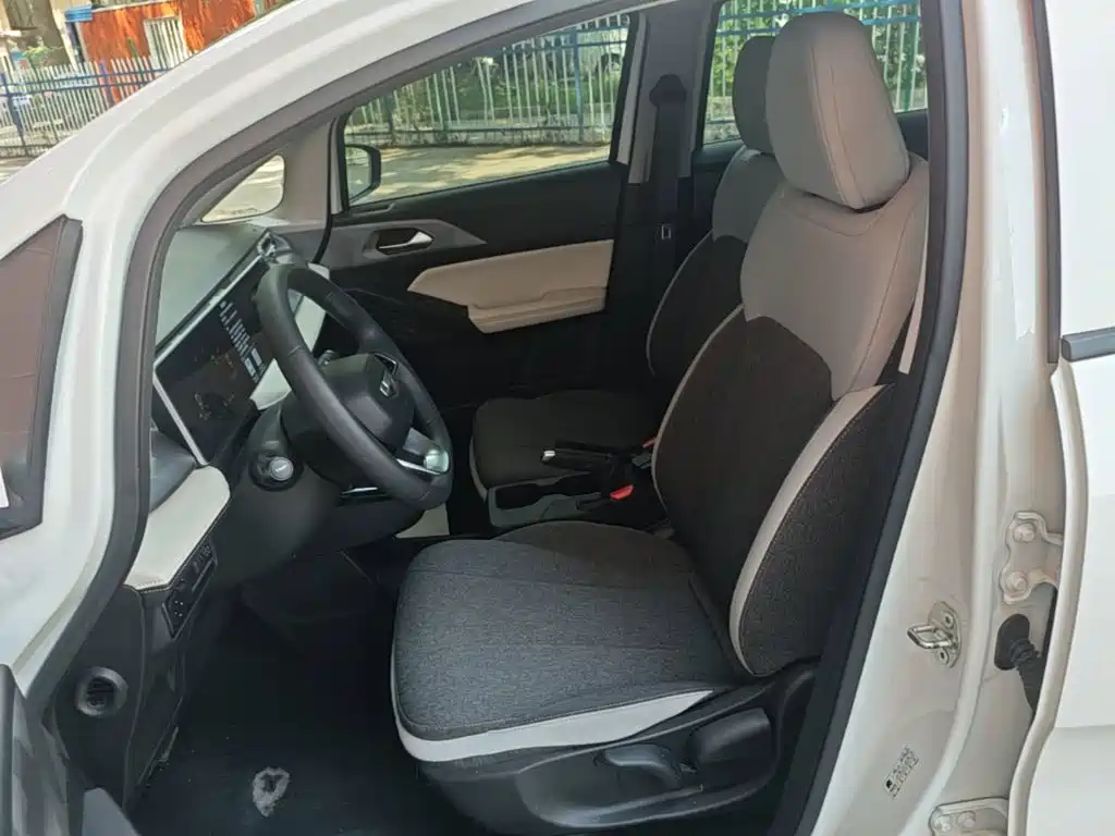 Geely Geometry E Firefly 2024 2024 Model 301km Light Flow