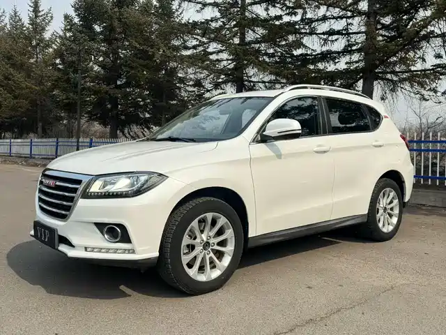 HAVAL H2