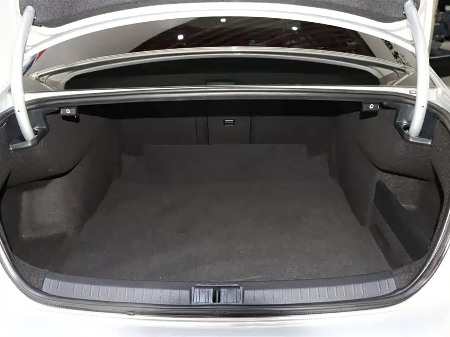 Volkswagen Magotan 2020 280TSI DSG Leading фото 17