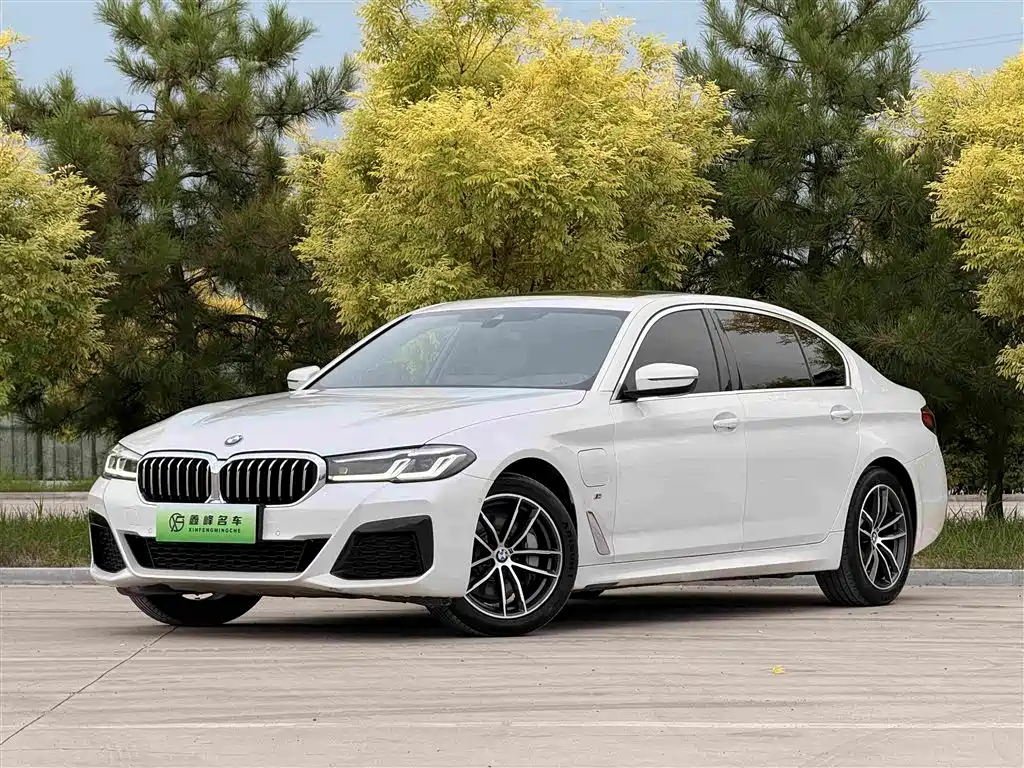  BMW BMW 5 Series New Energy 2021 Facelift 535Le M Sport Package