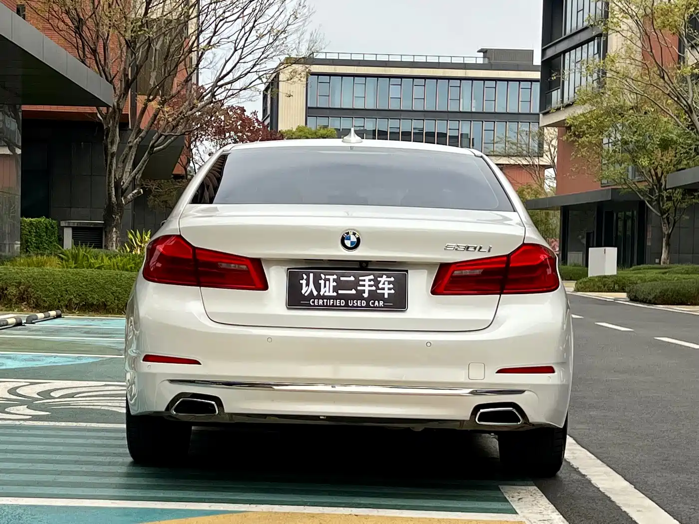 BMW 5 Series 2019 530Li Leading Luxury Package фото 5