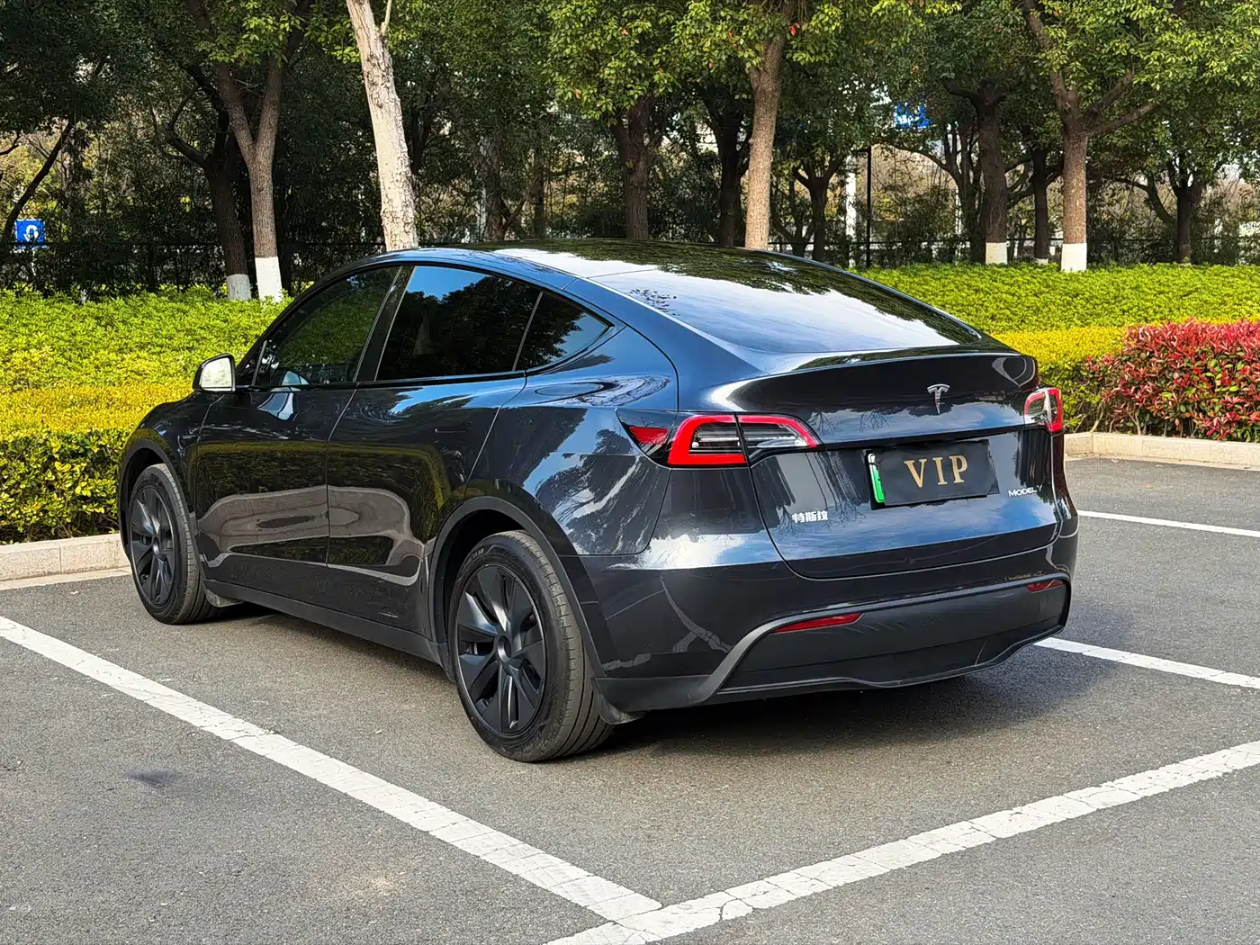 TESLA MODEL Y