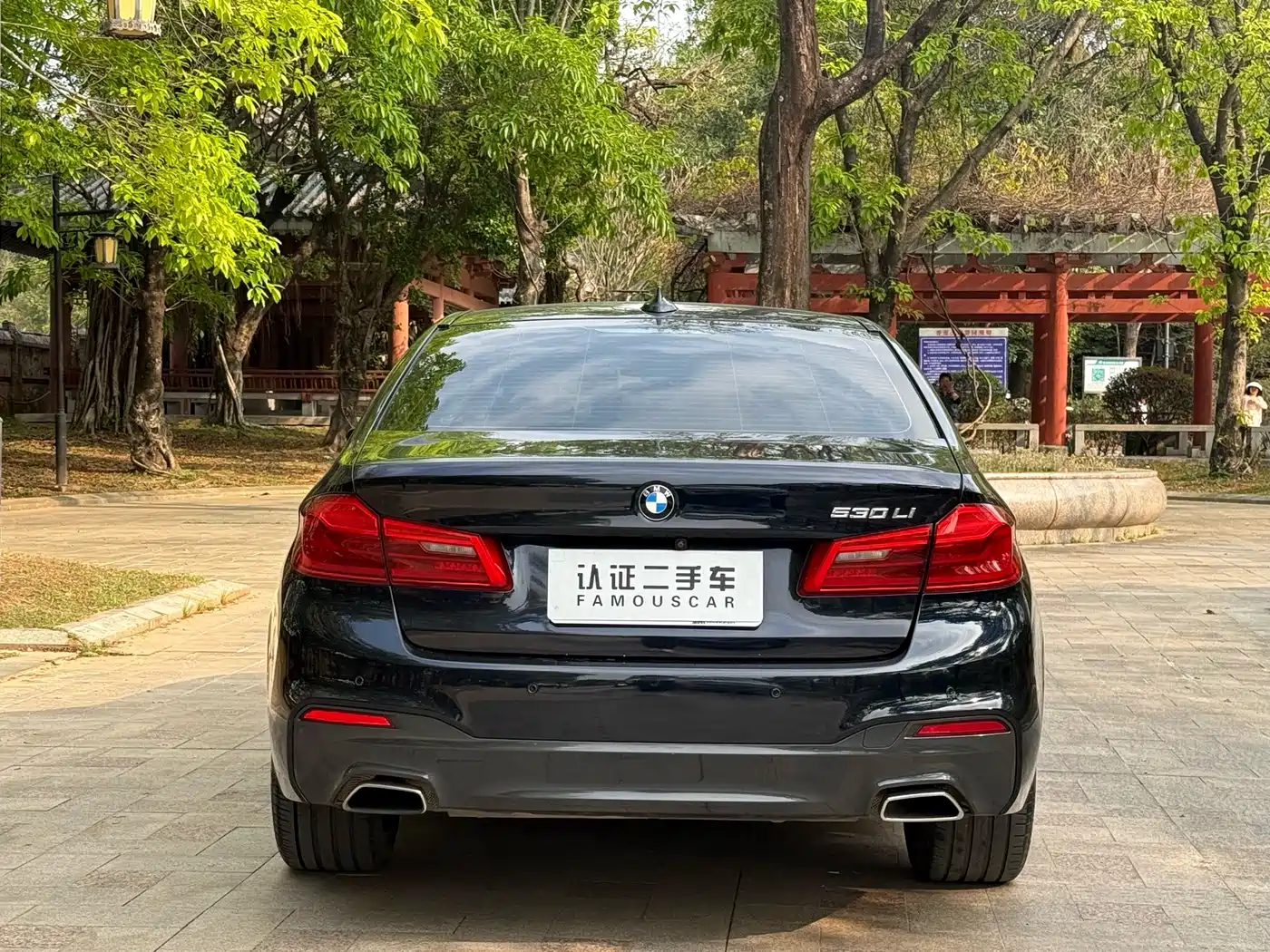 BMW 5 Series 2018 530Li Leading M Sport Package фото 18