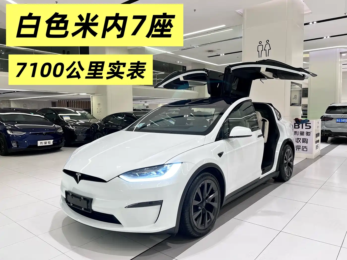 TESLA MODEL X