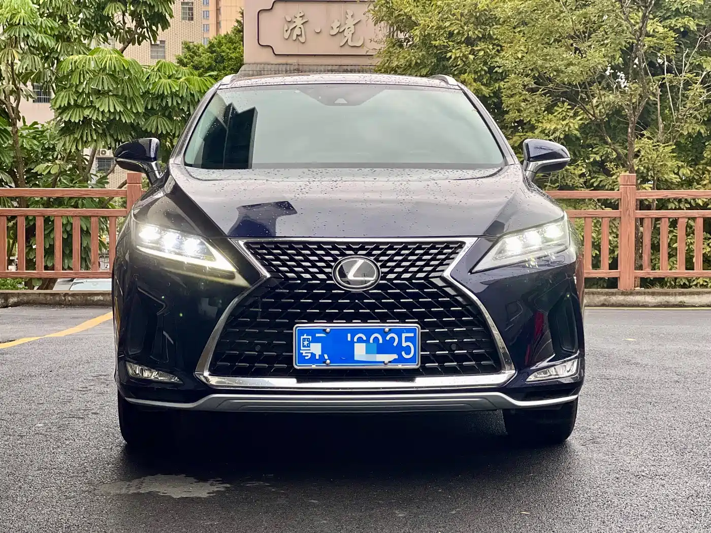 LEXUS RX