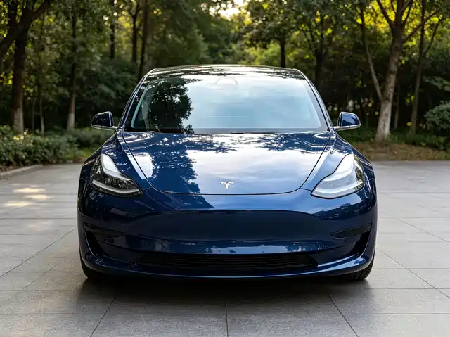 Tesla Model 3 2019 Standard Range Rear-Wheel Drive Upgrade — фото 2