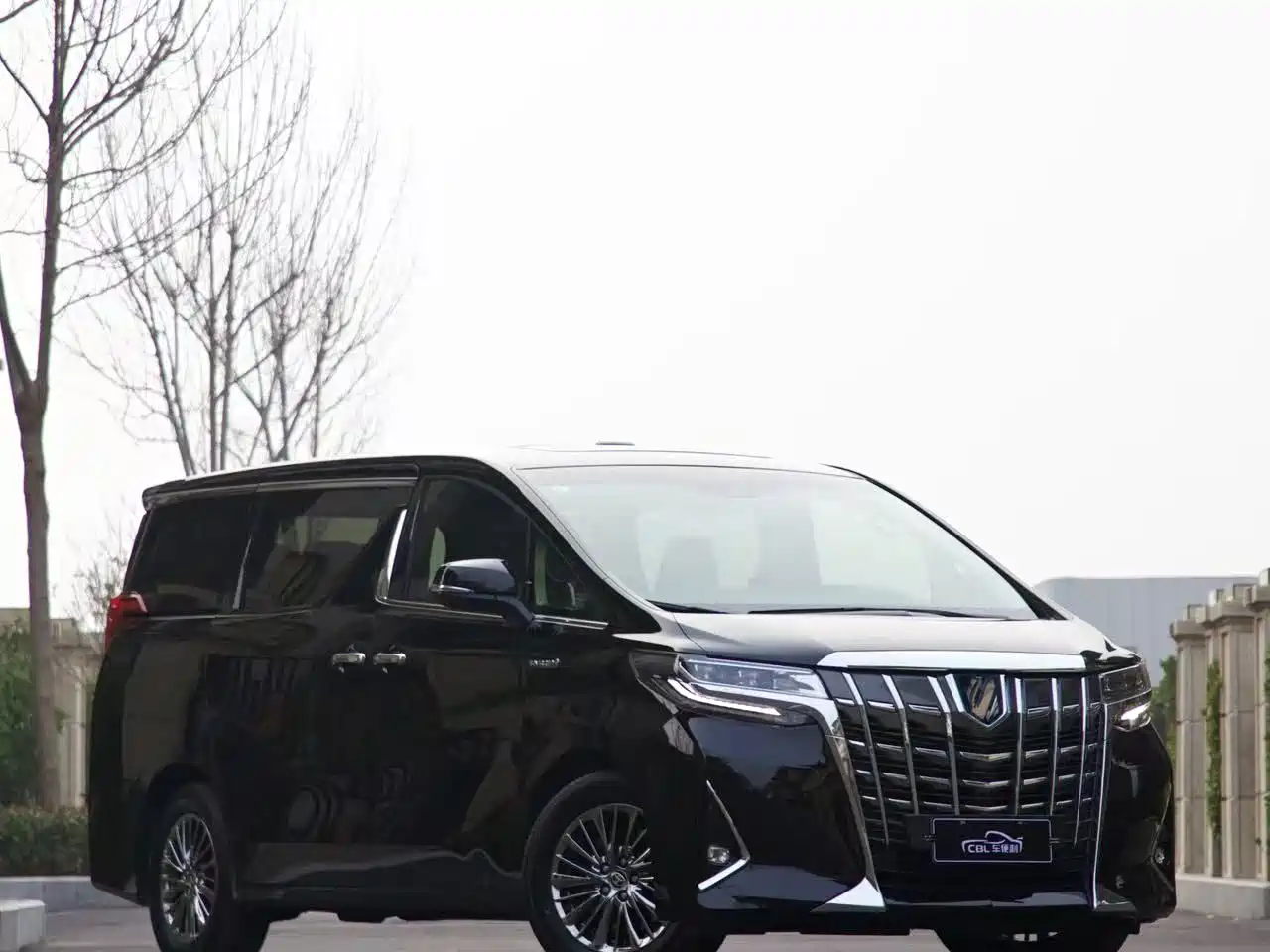 Toyota Alphard 2021 Hybrid 2.5L Ultimate фото 9