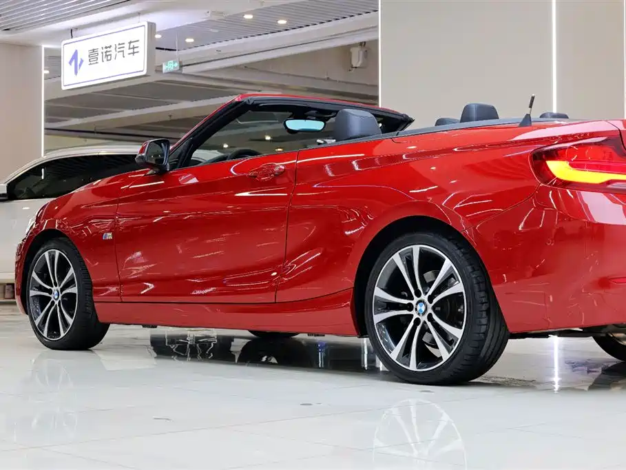 BMW 2 Series (Import) 2019 225i Convertible Coupe Sport Design Package фото 10