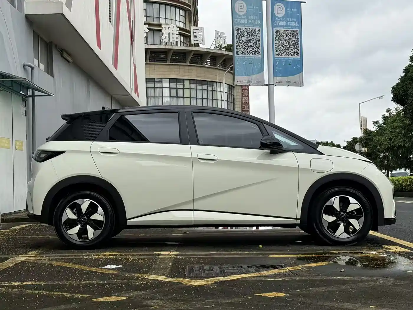 BYD Dolphin 2026 2025 420km Freedom Edition