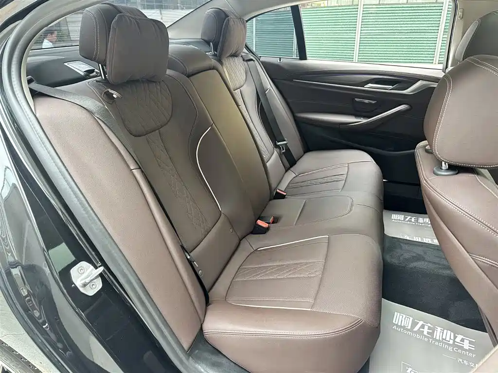 BMW 5 Series 2021 530Li Leading Luxury Package фото 13