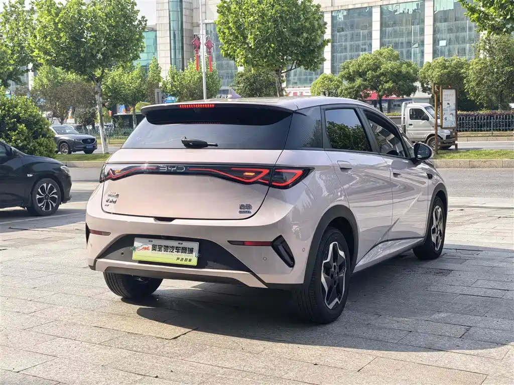 BYD Dolphin 2025 Smart Drive Edition 420km Freedom Version фото 7