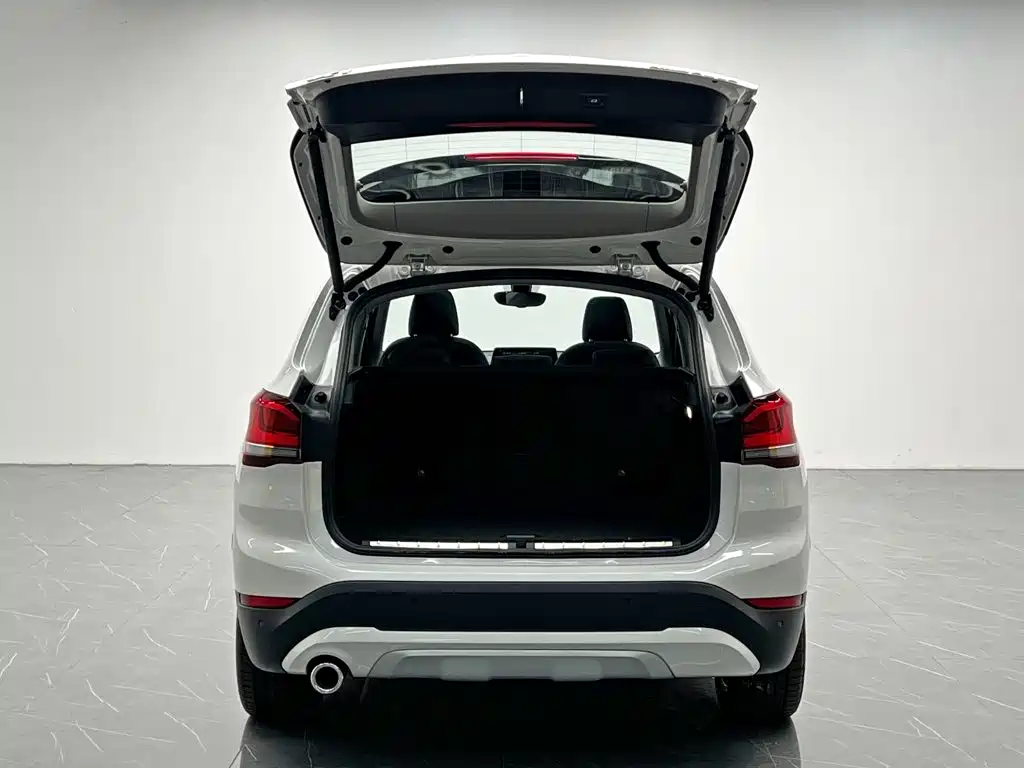 BMW X1 New Energy 2020 2020 xDrive30Le Premium Edition