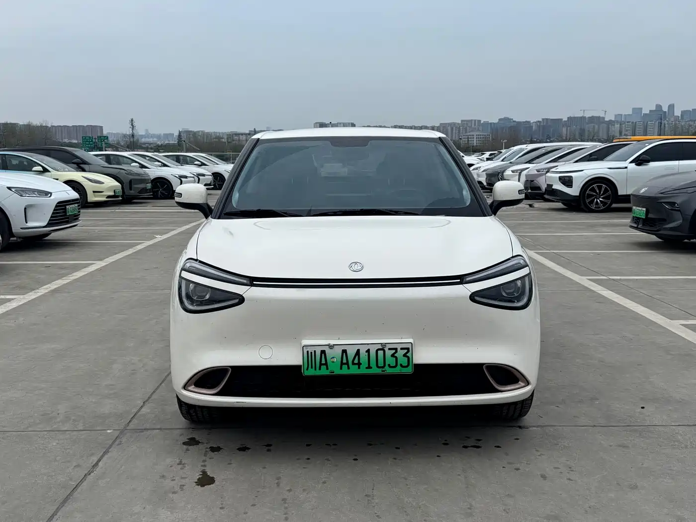 DONGFENG NANO 01