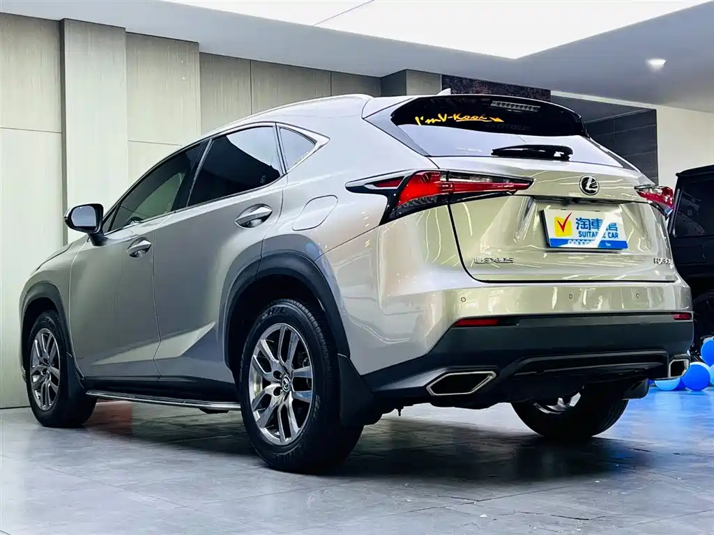 Lexus NX 2018 Model 300 AWD Fengshang Edition фото 6