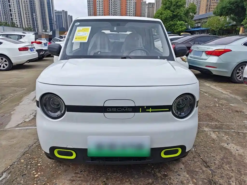 Geely Galaxy Panda 2026 2025 Panda mini 210km Vitality Bear