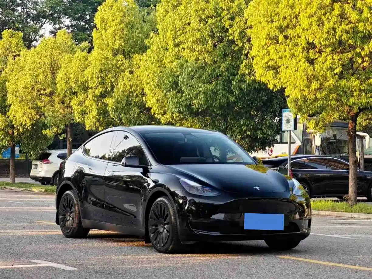 Фото 3 - Tesla Model Y