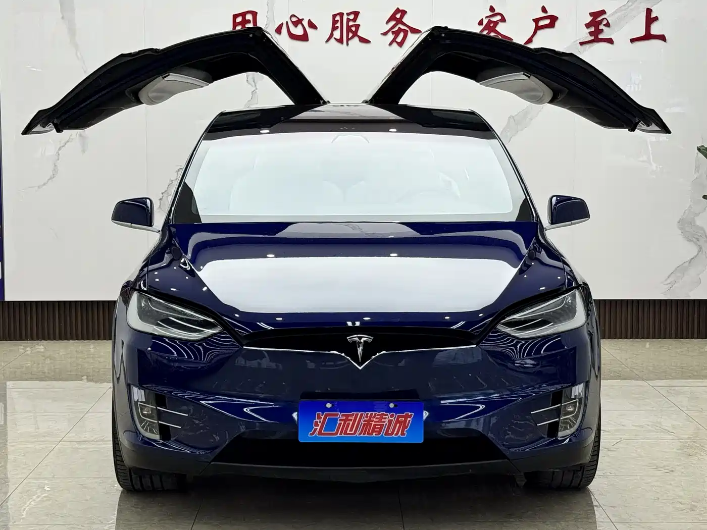 TESLA MODEL X