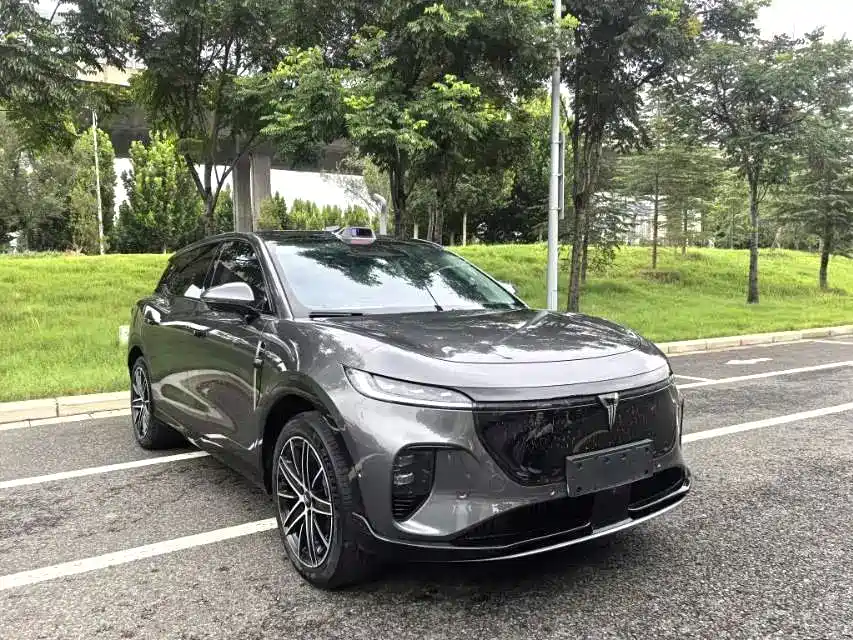 Фото 3 - Voyah Auto Voyah Zhiyin