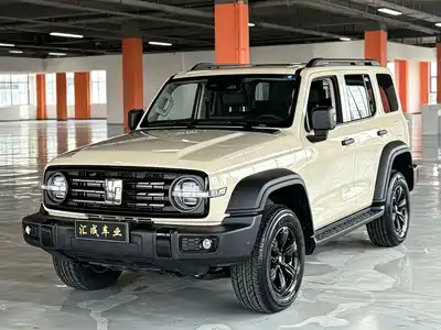Tank 300