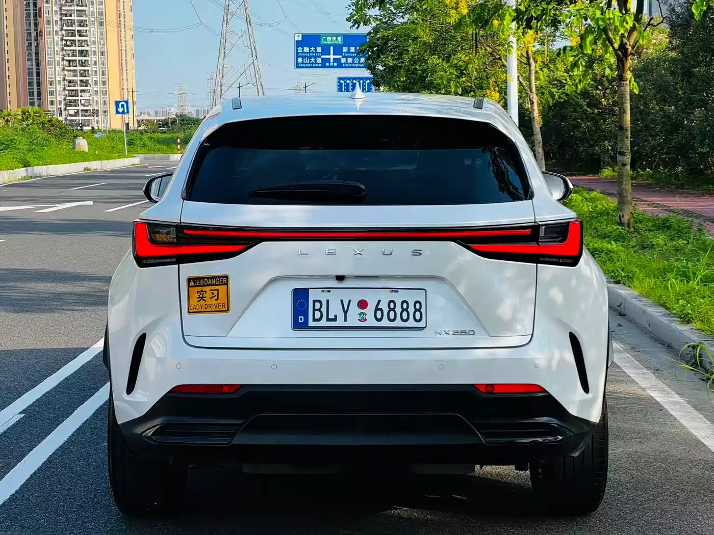 Lexus NX 2024 2024 260 FWD Joy Creation Edition