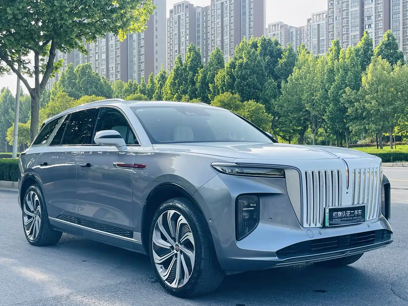 Hongqi E-HS9 2022 660km Qi Ling Edition (4-seater) фото 3