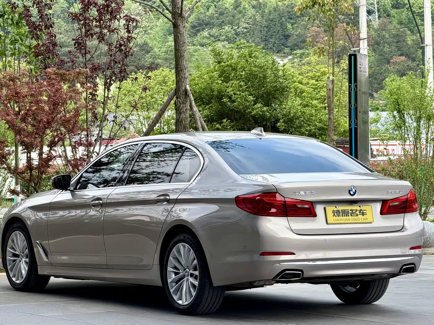 BMW 5 Series 2020 525Li Luxury Package фото 4