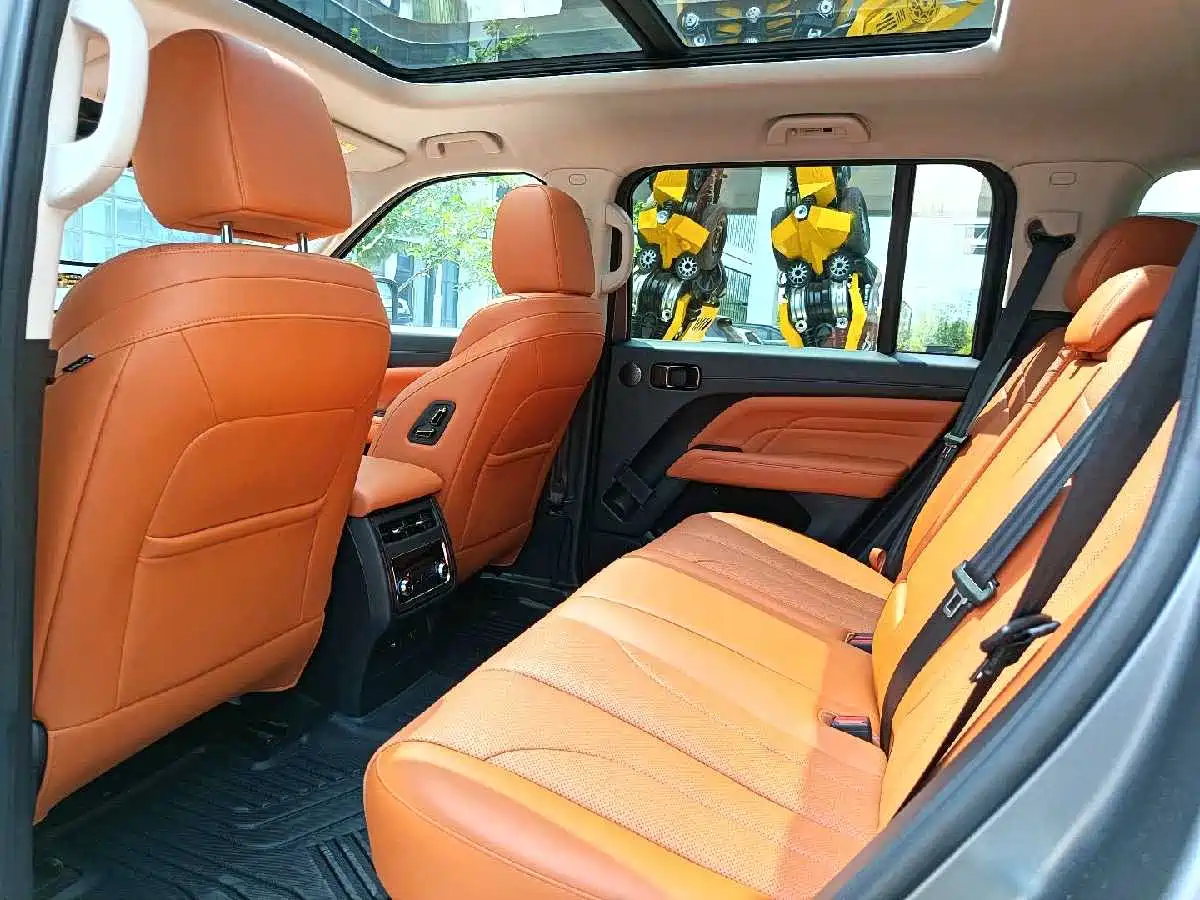 Haval H9 2024 2.0T Gasoline AWD Extreme Edition фото 38