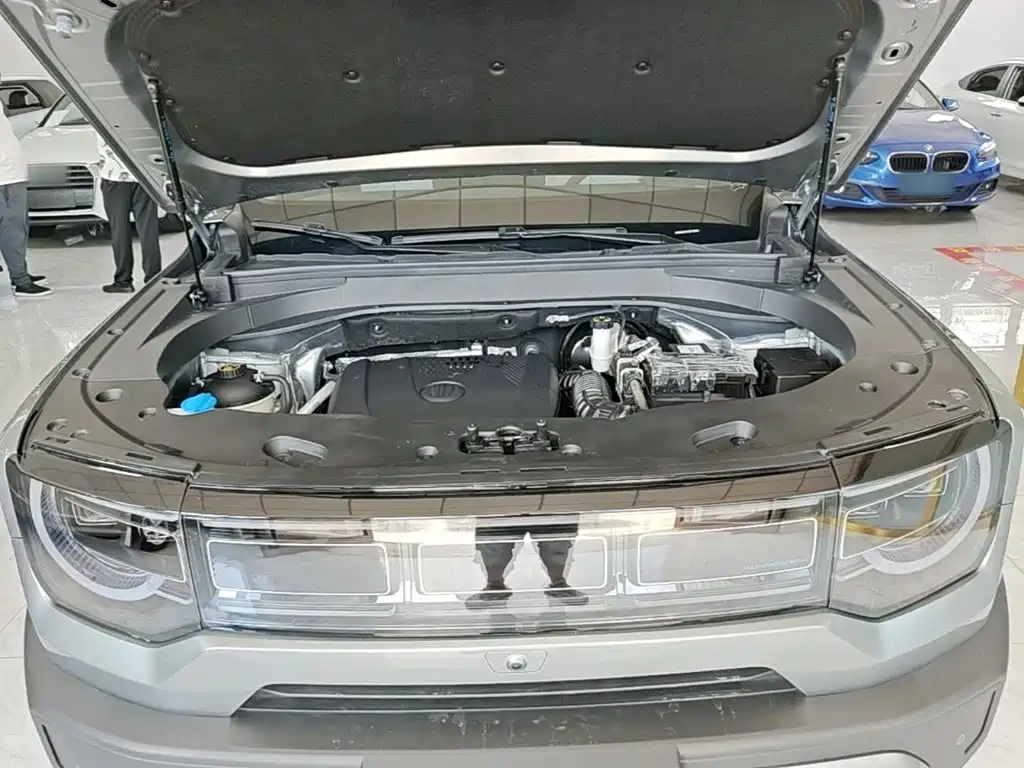 BAIC ORV Beijing Off-Road BJ30 2025 2024 1.5T Light Off-Road Pro Edition