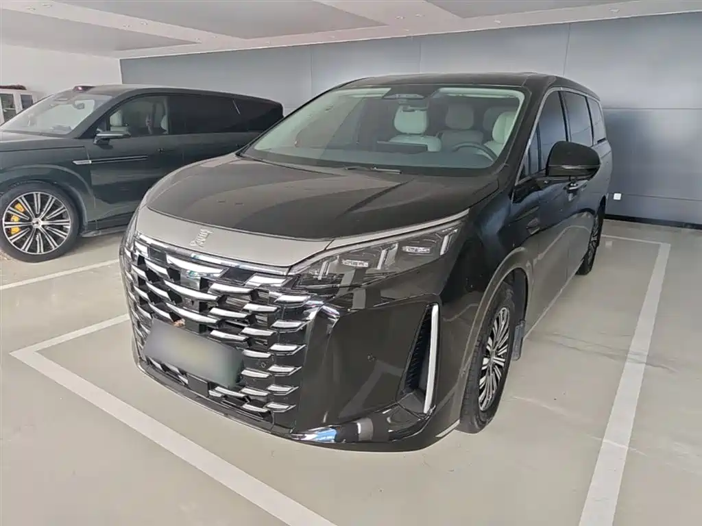 BYD Xia 2025 DM-i 1.5T 180km Surpass Edition