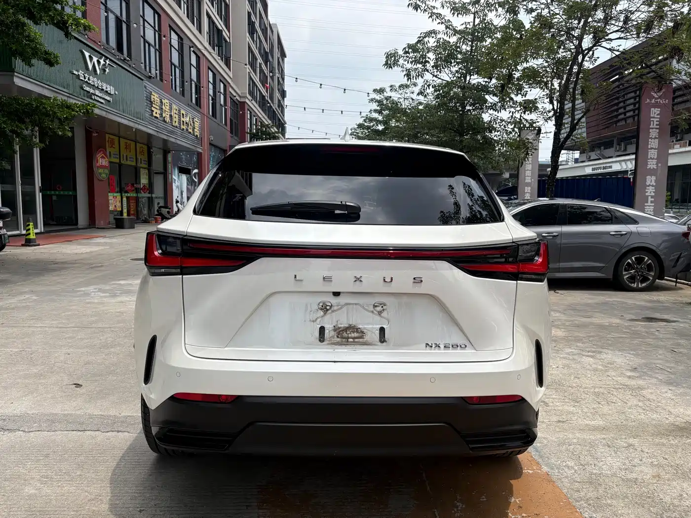 Lexus NX 2023 2022 260 FWD Joy Creation Edition