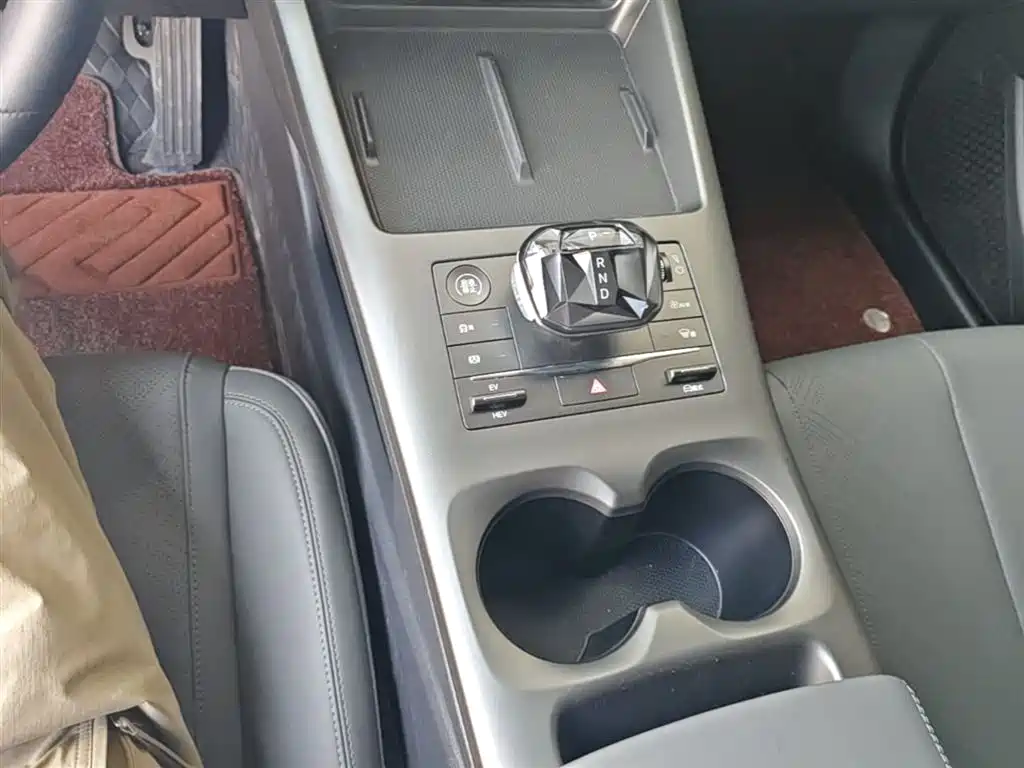 BYD Qin PLUS 2025 DM-i Smart Drive 55KM Leader фото 14