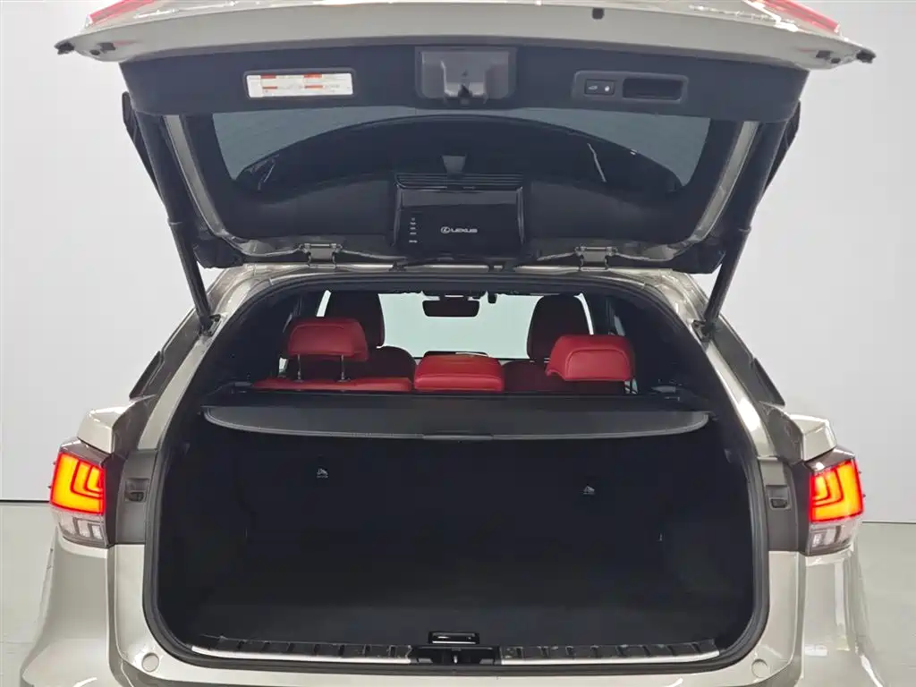 Lexus RX 2020 300 AWD F SPORT (China VI) фото 20
