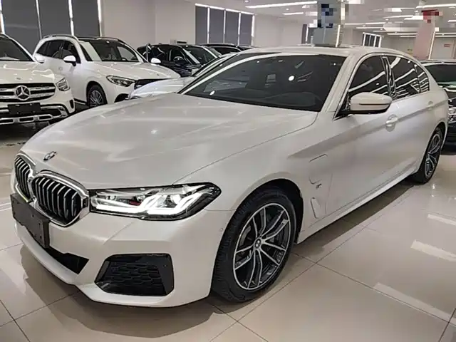 BMW 5 Series New Energy 2021
