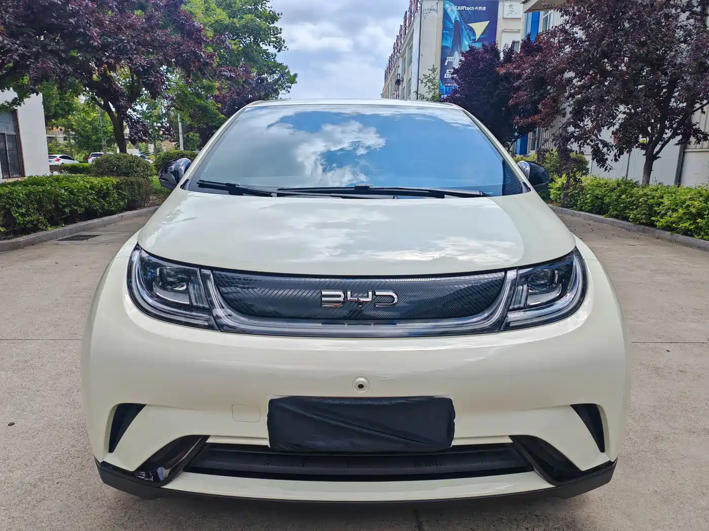 BYD Dolphin 2026 2025 420km Freedom Edition
