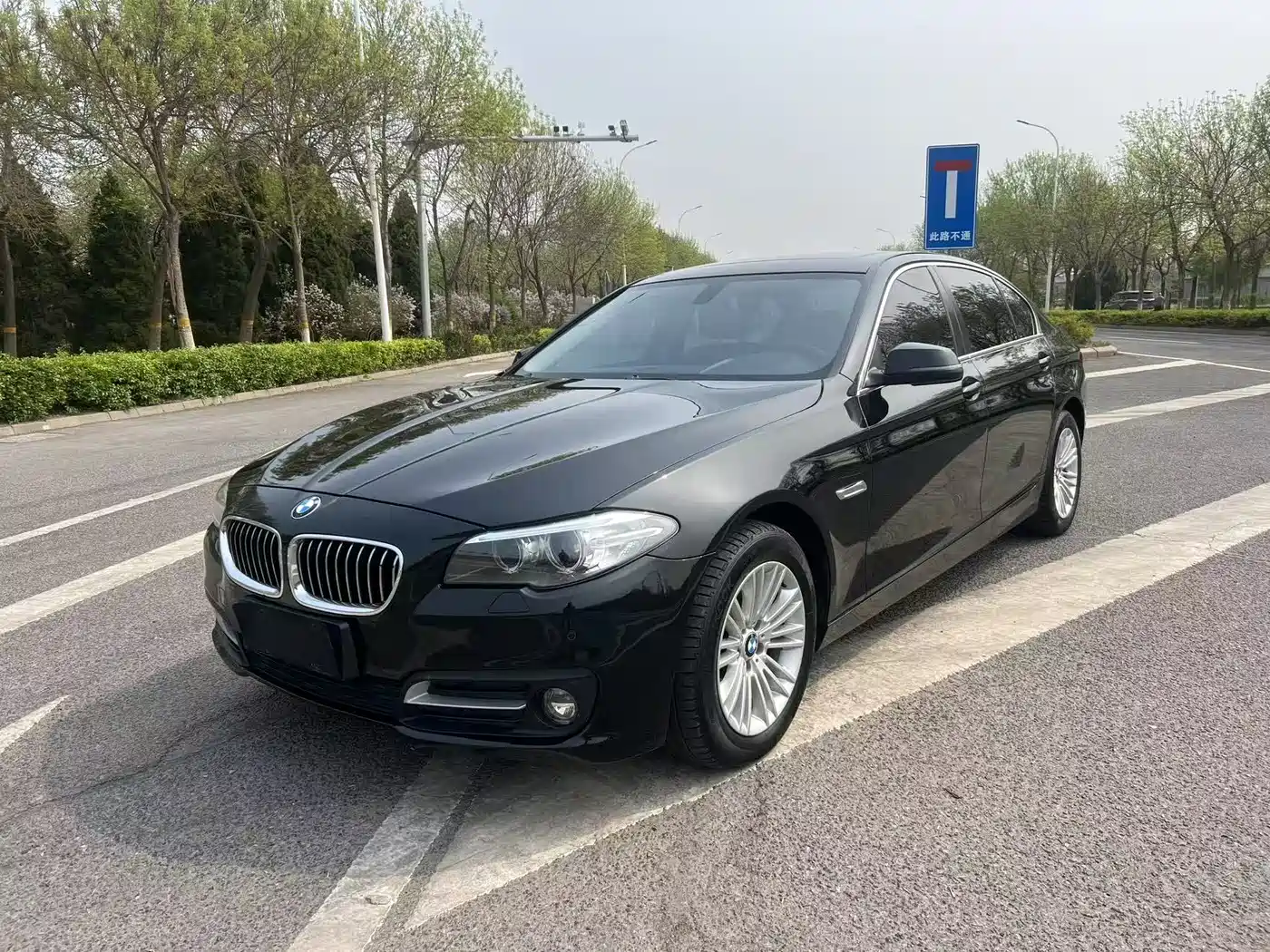 BMW 5 Series 2013 525Li Leadership