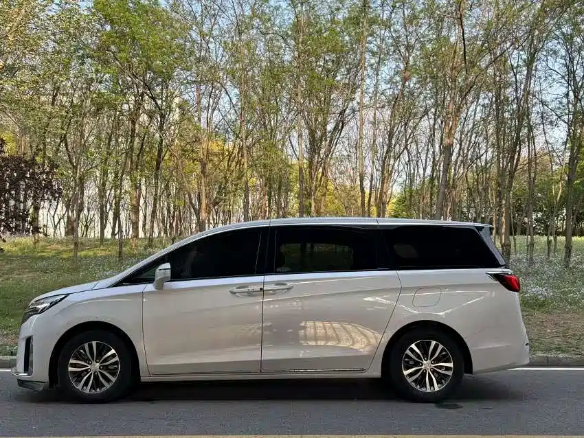 Buick GL8 2023 ES Landmaster Exclusive фото 3