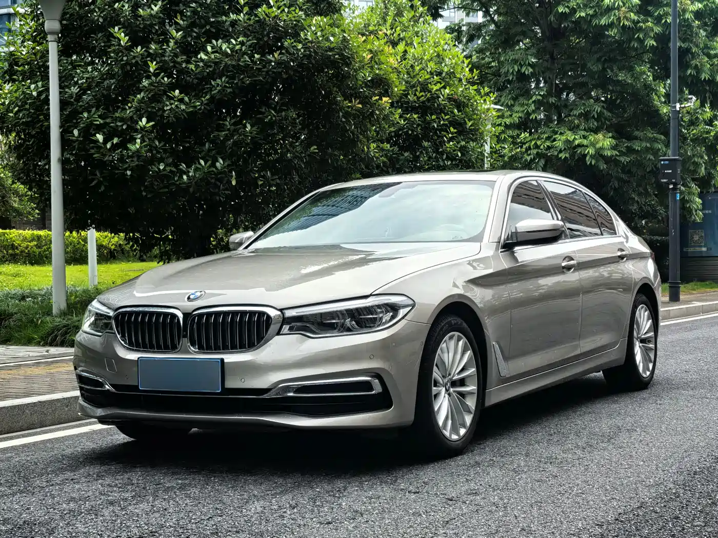 BMW 5 Series 2020 530Li Leading Luxury Package