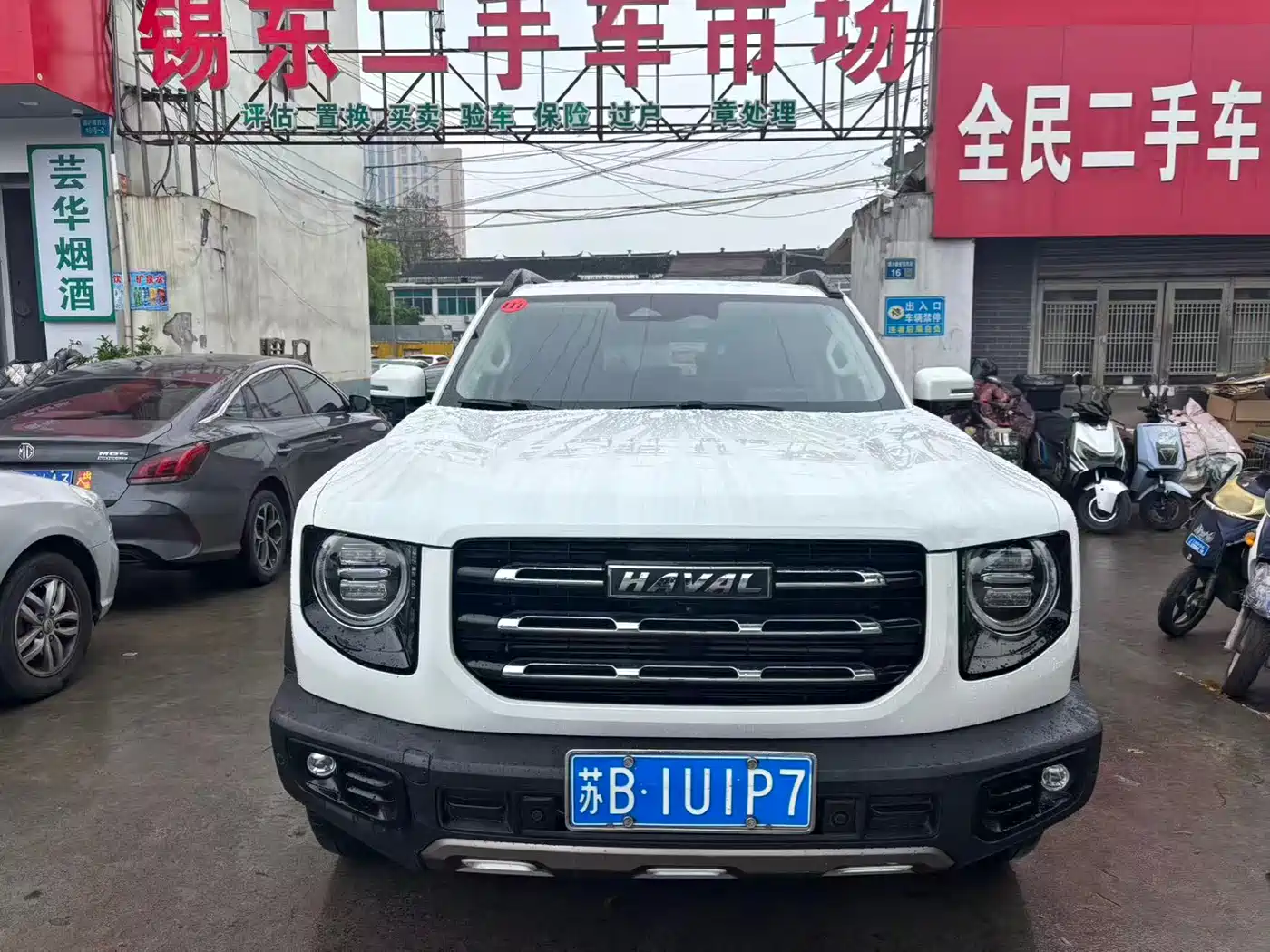 HAVAL BIG DOG