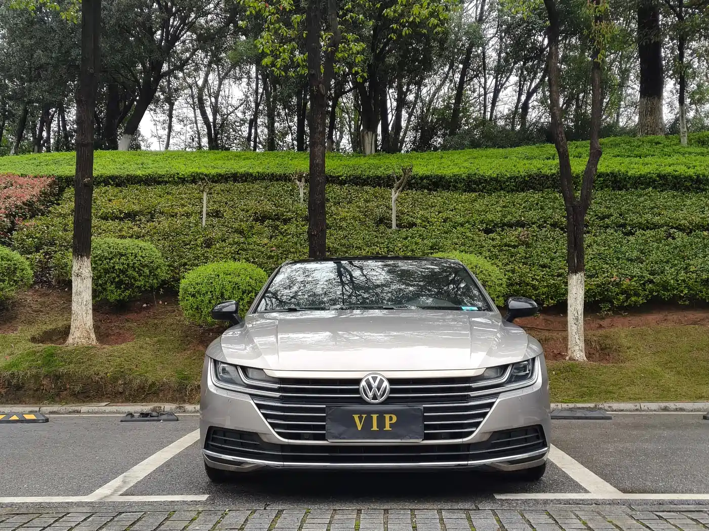 Volkswagen FAW-Volkswagen CC 2019 330TSI Charming Appearance (China V) фото 2